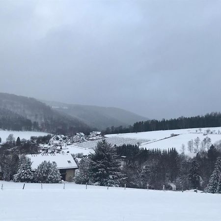 Appartement Familie Willems Winterberg 2 外观 照片