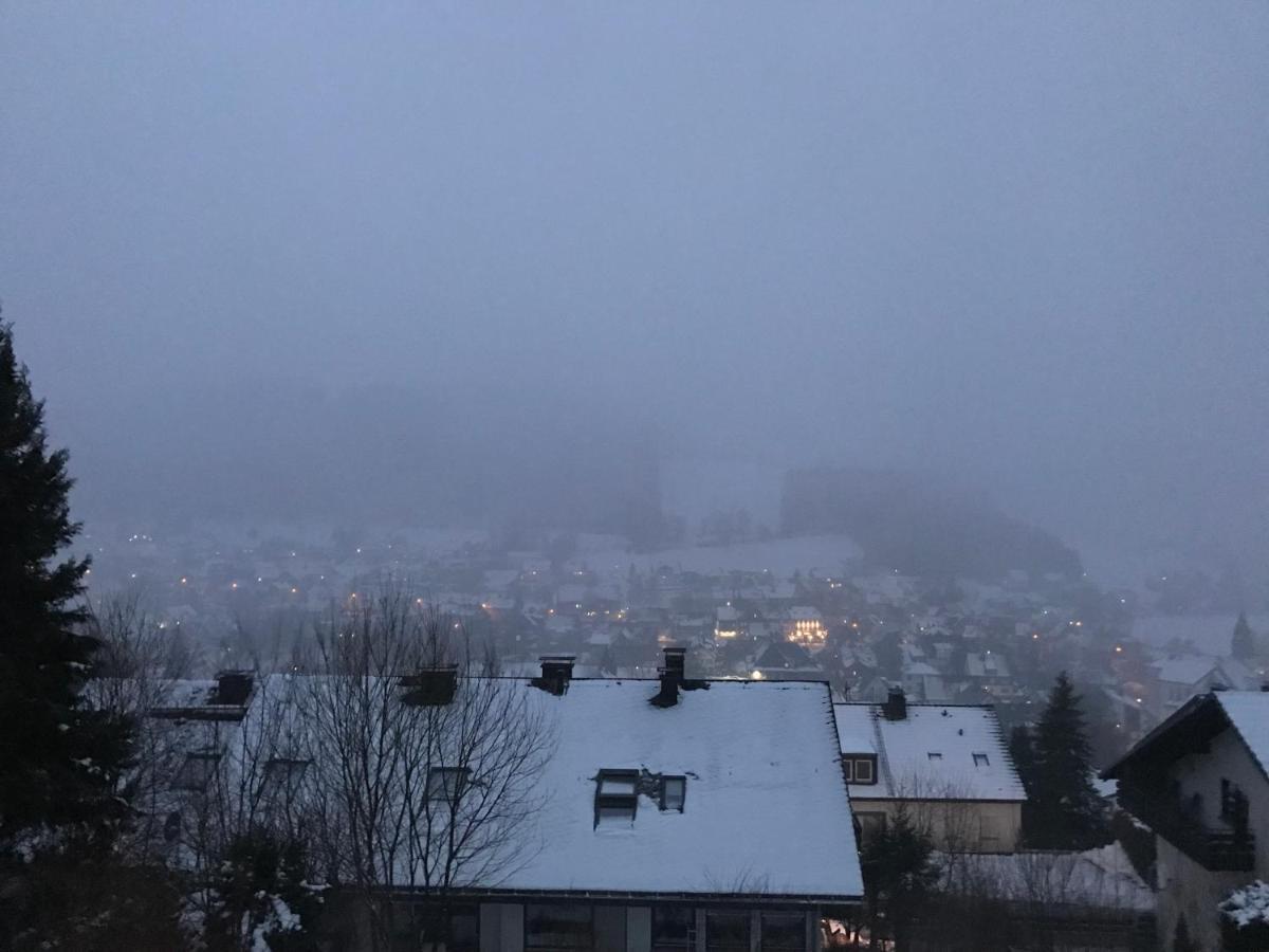 Appartement Familie Willems Winterberg 2 外观 照片