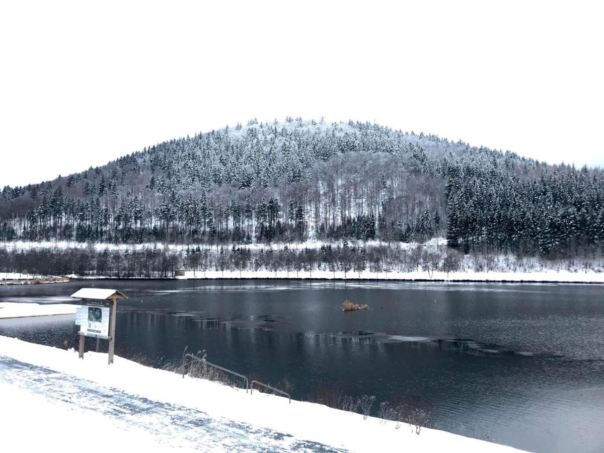 Appartement Familie Willems Winterberg 2 外观 照片