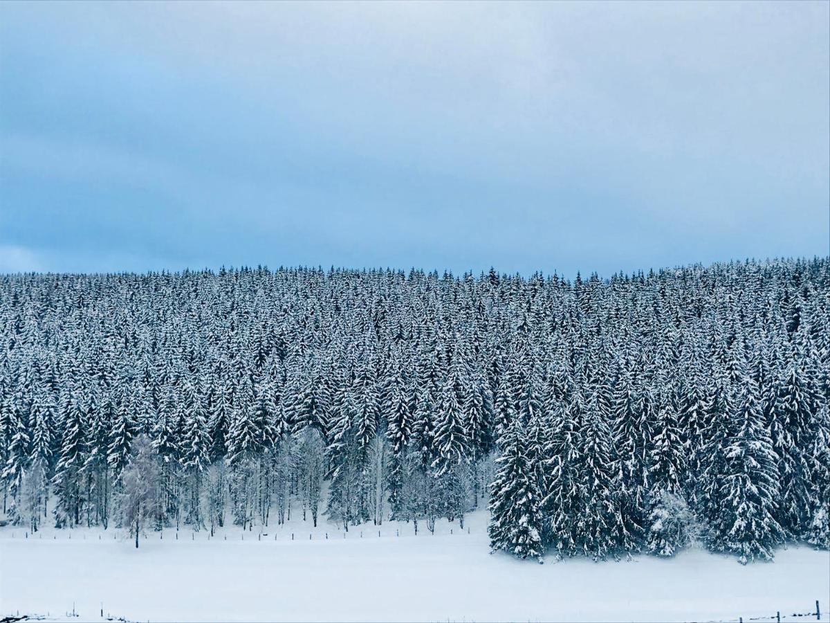Appartement Familie Willems Winterberg 2 外观 照片