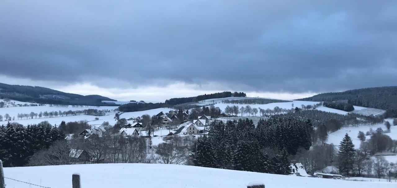Appartement Familie Willems Winterberg 2 外观 照片