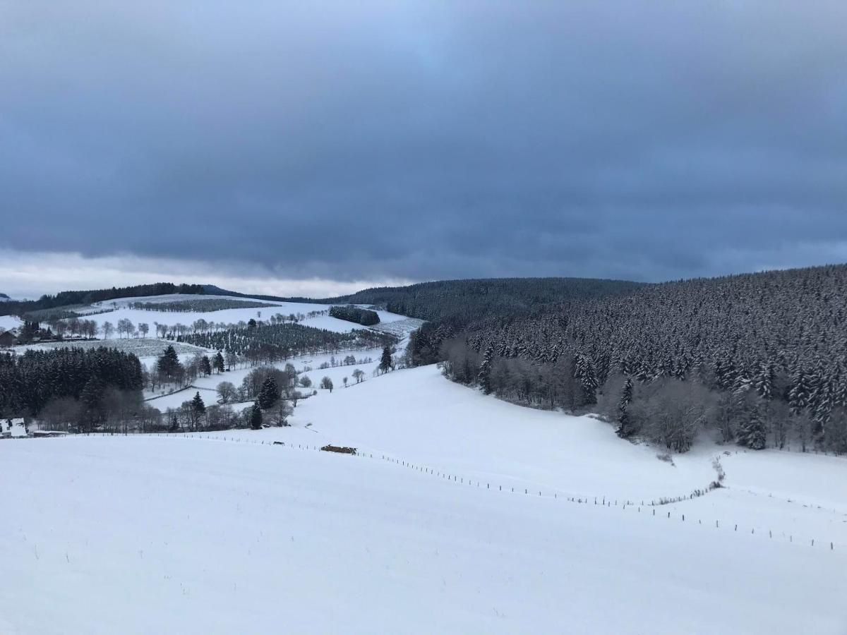 Appartement Familie Willems Winterberg 2 外观 照片